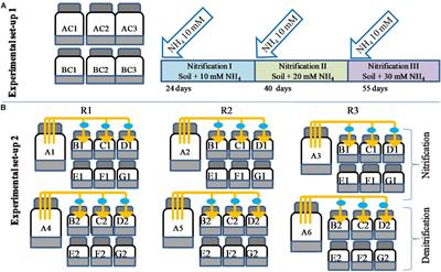 Nitrification Rates Are Affected by Biogenic Nitrate and Volatile Organic Compounds in Agricultural Soils